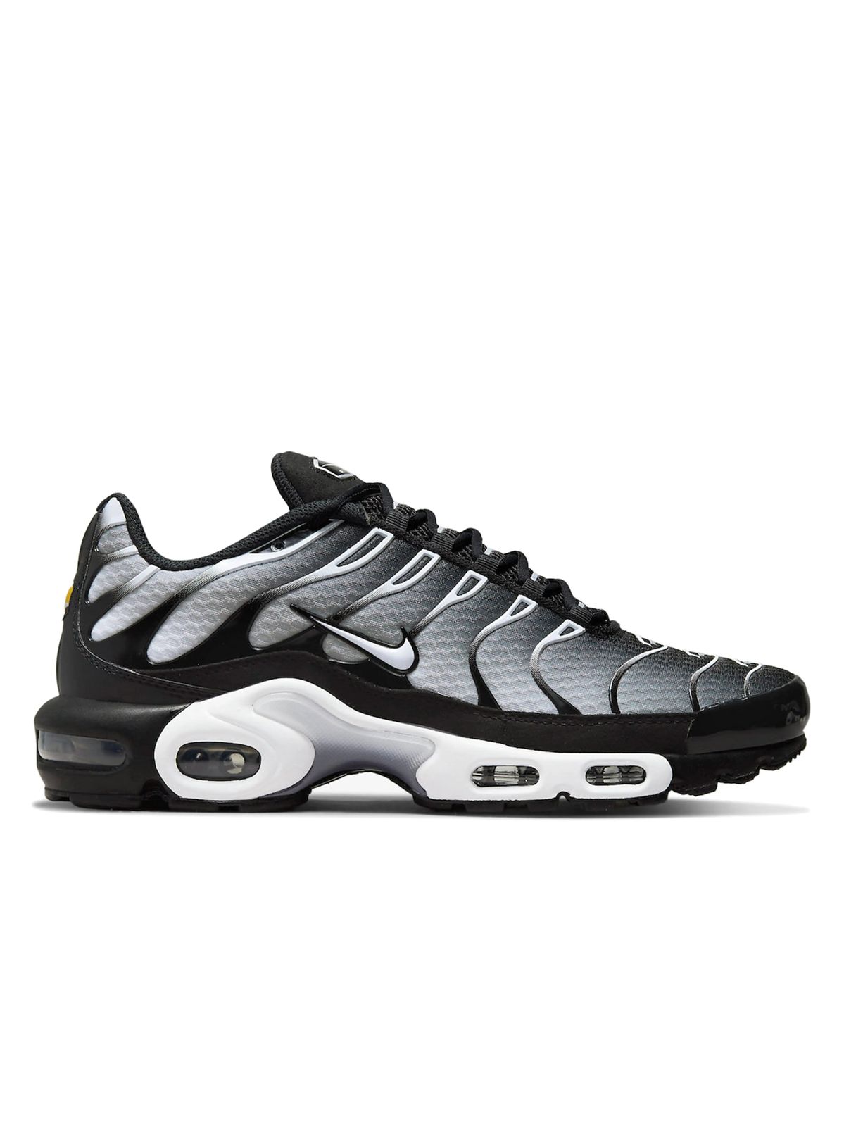 TN
